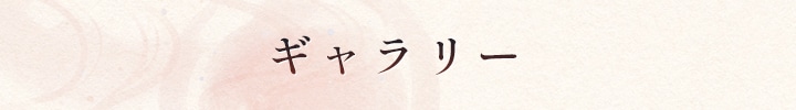 ギャラリー